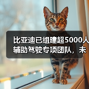 比亚迪已组建超5000人辅助驾驶专项团队,未来智能化将投入超1000亿(图4) 比亚迪已组建超5000人辅助驾驶专项团队,未来智能化将投入超1000亿(图4)