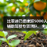比亚迪已组建超5000人辅助驾驶专项团队,未来智能化将投入超1000亿(图2) 比亚迪已组建超5000人辅助驾驶专项团队,未来智能化将投入超1000亿(图2)