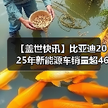 【盖世快讯】比亚迪2025年新能源车销量超460万辆;宝马中国回应最高降价30万元(图4) 【盖世快讯】比亚迪2025年新能源车销量超460万辆;宝马中国回应最高降价30万元(图4)