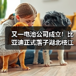 又一电池公司成立!比亚迪正式落子湖北枝江!(图1) 又一电池公司成立!比亚迪正式落子湖北枝江!(图1)