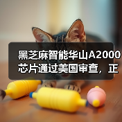 黑芝麻智能华山A2000芯片通过美国审查,正式推向全球市场(图3) 黑芝麻智能华山A2000芯片通过美国审查,正式推向全球市场(图3)