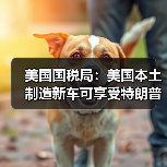 美国国税局：美国本土制造新车可享受特朗普政府税收优惠（图3）
