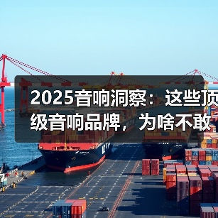 2025音响洞察：这些顶级音响品牌，为啥不敢上新能源的车（图1）