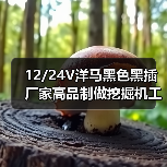 12/24V洋马黑色黑插厂家高品制做挖掘机工程改装车外置输油电子泵（图2）