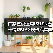 厂家直供适用ISUZU五十铃DMAX皮卡汽车黑色倒车镜 后视镜 盲点镜（图4）