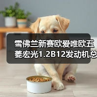 雪佛兰新赛欧爱唯欧五菱宏光1.2B12发动机总成