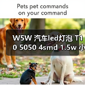 W5W 汽车led灯泡 T10 5050 4smd 1.5w 小黑锋示宽灯 T10 4 1（图2）