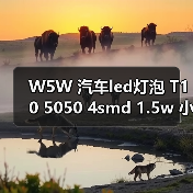 W5W 汽车led灯泡 T10 5050 4smd 1.5w 小黑锋示宽灯 T10 4 1（图3）