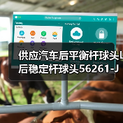 供应汽车后平衡杆球头L 后稳定杆球头56261-JN00A适用于天籁J2.0L（图4）