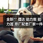 全新** 捷达 助力泵 助力器 原厂配套厂家一件起批（图3）