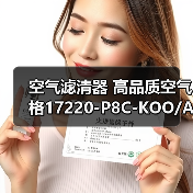 空气滤清器 高品质空气格17220-P8C-KOO/A00适用于本田系列汽车(图3) 空气滤清器 高品质空气格17220-P8C-KOO/A00适用于本田系列汽车(图3)