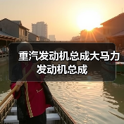重汽发动机总成大马力发动机总成（图2）