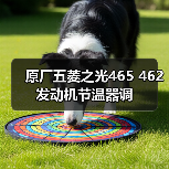 原厂五菱之光465 462发动机节温器调