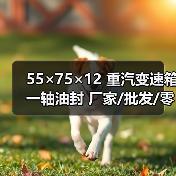 55×75×12 重汽变速箱一轴油封 厂家/批发/零售