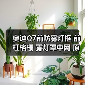 奥迪Q7前防雾灯框 前杠格栅 雾灯罩中网 原装进口奥迪专卖（图4）