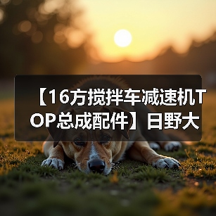 【16方搅拌车减速机TOP总成配件】日野大运重汽青专