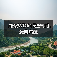 潍柴WD615进气门，潍柴汽配（图3）