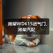 潍柴WD615进气门，潍柴汽配（图2）
