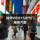 潍柴WD615进气门，潍柴汽配（图4）