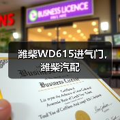 潍柴WD615进气门，潍柴汽配（图2）