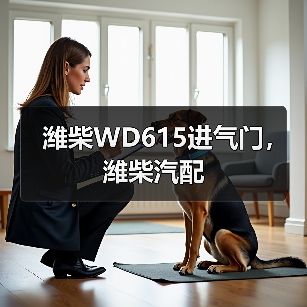 潍柴WD615进气门，潍柴汽配（图3）