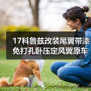 17科鲁兹改装尾翼带漆免打孔卧压定风翼原车款 汽车尾翼改装（图3）