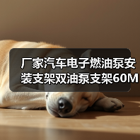 厂家汽车电子燃油泵安装支架双油泵支架60MM铝合金燃油泵卡箍（图3）