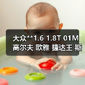 大众**1.6 1.8T 01M 高尔夫 欧雅 捷达王 斯柯达2.0 变速箱