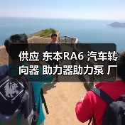 供应 东本RA6 汽车转向器 助力器助力泵 厂家一件起批（图4）