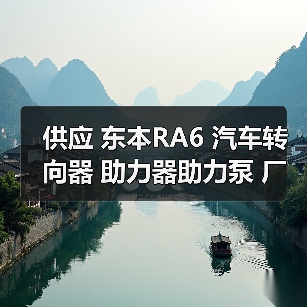 供应 东本RA6 汽车转向器 助力器助力泵 厂家一件起批（图2）