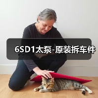 6SD1太泵-原装拆车件