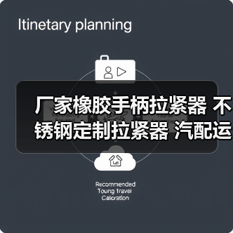 厂家橡胶手柄拉紧器 不锈钢定制拉紧器 汽配运输拉紧器（图3）