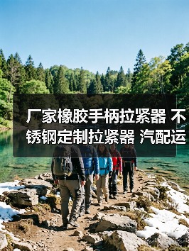 厂家橡胶手柄拉紧器 不锈钢定制拉紧器 汽配运输拉紧器（图4）