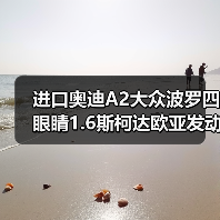 进口奥迪A2大众波罗四眼睛1.6斯柯达欧亚发动机配件发动机总成(图3) 进口奥迪A2大众波罗四眼睛1.6斯柯达欧亚发动机配件发动机总成(图3)