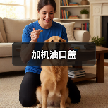 加机油口盖（图1）