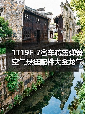 1T19F-7客车减震弹簧空气悬挂配件大金龙气囊（图4）