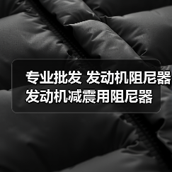 专业批发 发动机阻尼器 发动机减震用阻尼器(图3) 专业批发 发动机阻尼器 发动机减震用阻尼器(图3)
