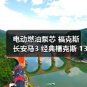 电动燃油泵芯 福克斯 长安马3 经典福克斯 13款之前 配套品质（图3）