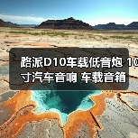 路派D10车载低音炮 10寸汽车音响 车载音箱 厂家一件代发(图3) 路派D10车载低音炮 10寸汽车音响 车载音箱 厂家一件代发(图3)