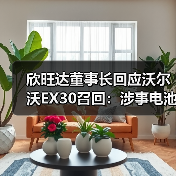 欣旺达董事长回应沃尔沃EX30召回:涉事电池组与公司无关(图1) 欣旺达董事长回应沃尔沃EX30召回:涉事电池组与公司无关(图1)