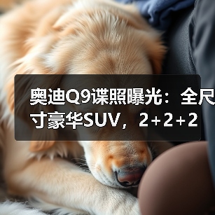 奥迪Q9谍照曝光:全尺寸豪华SUV,2+2+2座椅布局(图4) 奥迪Q9谍照曝光:全尺寸豪华SUV,2+2+2座椅布局(图4)