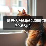 马自达M6马62.3奔腾B70发动机(图2) 马自达M6马62.3奔腾B70发动机(图2)
