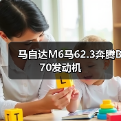 马自达M6马62.3奔腾B70发动机(图1) 马自达M6马62.3奔腾B70发动机(图1)