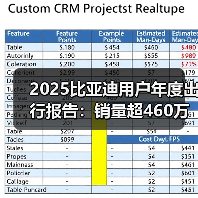 2025比亚迪用户年度出行报告：销量超460万辆，里程超4007亿公里（图3）