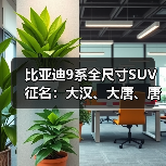 比亚迪9系全尺寸SUV征名:大汉、大唐、唐9为候选(图3) 比亚迪9系全尺寸SUV征名:大汉、大唐、唐9为候选(图3)