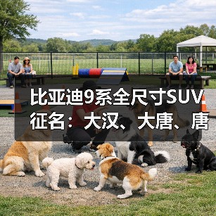 比亚迪9系全尺寸SUV征名:大汉、大唐、唐9为候选(图1) 比亚迪9系全尺寸SUV征名:大汉、大唐、唐9为候选(图1)