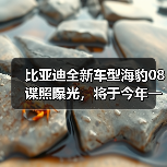 比亚迪全新车型海豹08谍照曝光，将于今年一季度上市（图4）