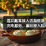 莲花跑车接入浩瀚能源充电服务，首批接入超600个充电场站（图1）