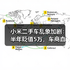 小米二手车乱象加剧：半年贬值5万，车商直呼不敢收（图2）