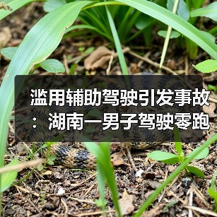 滥用辅助驾驶引发事故：湖南一男子驾驶零跑C11睡着，致车辆撞栏（图2）